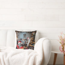 "Crazy Animal House" jul