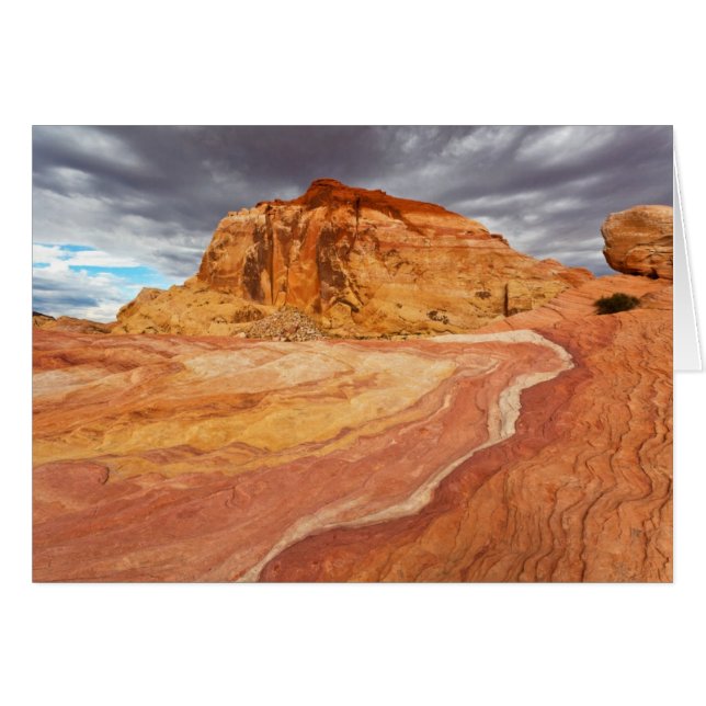 Crazy Backe Tempest Hälsningskort (Framsidan Horizontal)