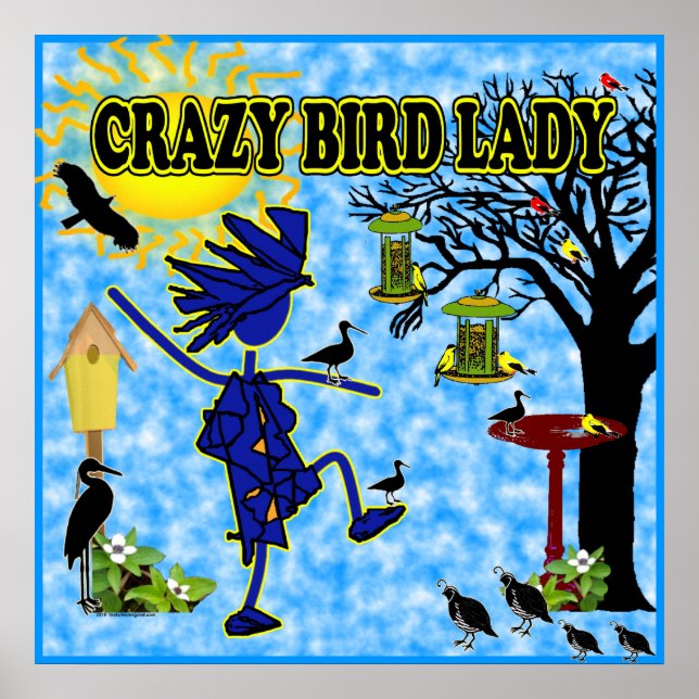 Crazy Bird Dam Design Poster (Framsidan)