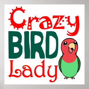 Crazy bird dam poster