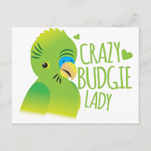 Crazy budgie dam vykort