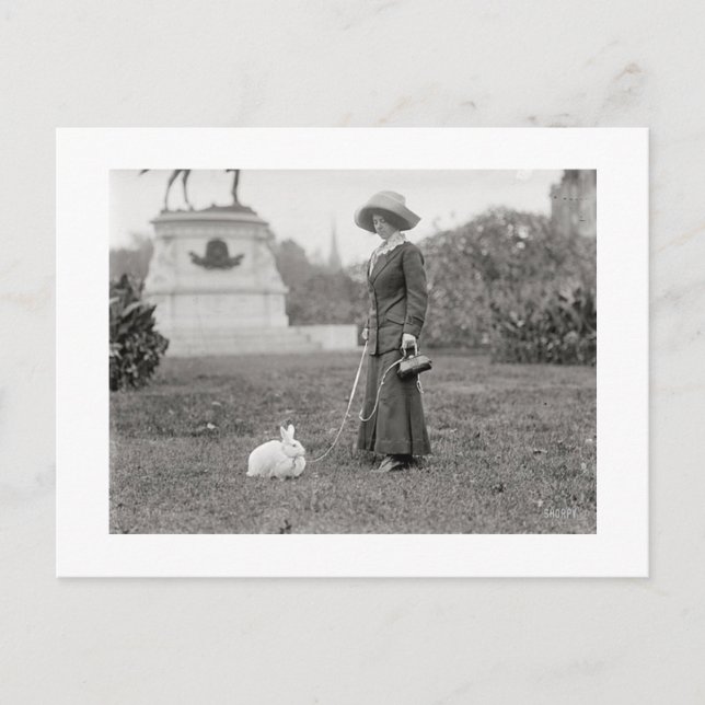 Crazy Bunny Dam Vykort (Framsida)