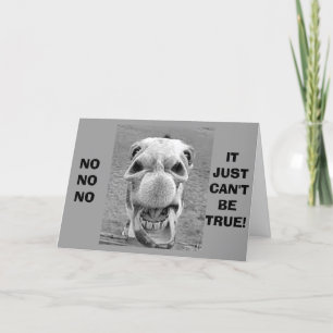 CRAZY CAMEL KOMIKER SÄGER ATT DU INTE KAN VARA "40 KORT