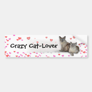Crazy Cat-Älskare Bildekal