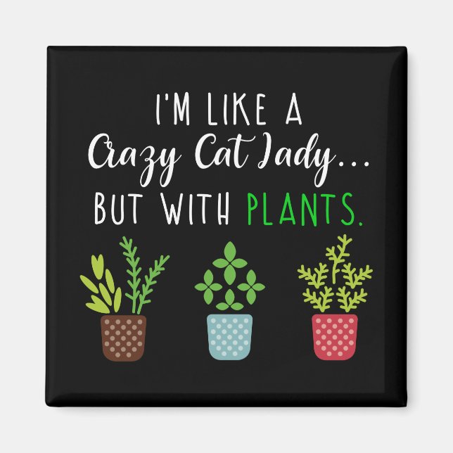 Crazy Cat Dam Funny  Magnet (Framsidan)