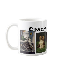 Crazy Cat Dam