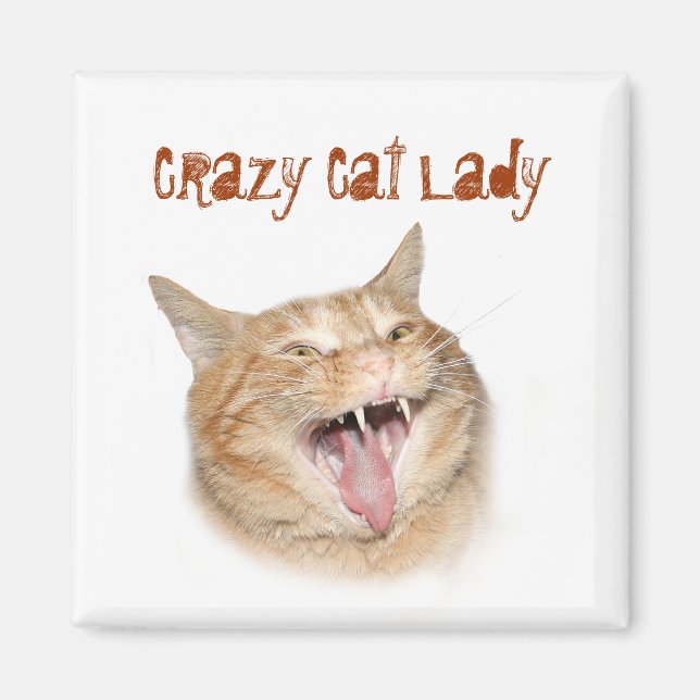 Crazy Cat Dam Magnet (Framsidan)