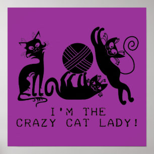 Crazy Cat Dam Poster