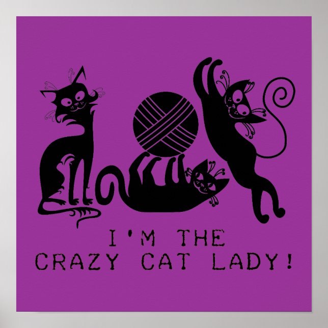 Crazy Cat Dam Poster (Framsidan)