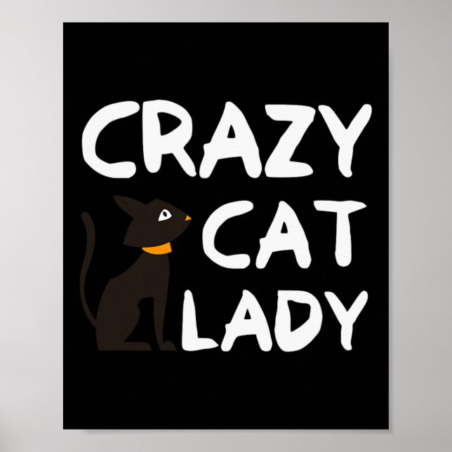 Crazy Cat Dam Poster (Framsidan)