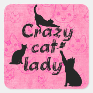 Crazy Cat Dam Roligt-lekplatser Fyrkantigt Klistermärke