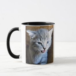 Crazy Cat Dude. Cat Humor. Cat Coffee Mug. Mugg