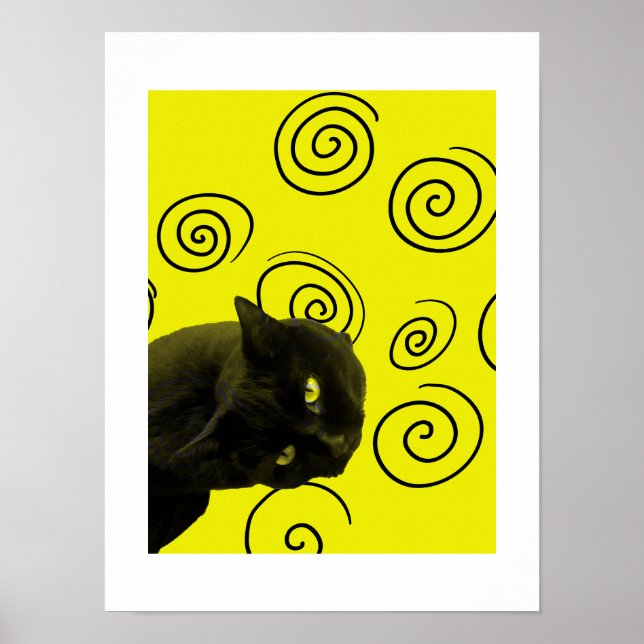Crazy Cat Poster (Framsidan)