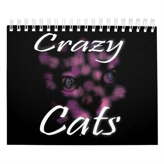 Crazy Cats and Kittens. Kalender (Omslag)