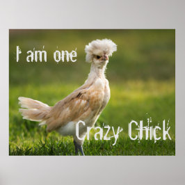 Crazy Chick Funny Poster