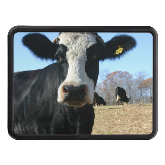 Crazy Cow Hitch Cover Dragkroksskydd (Framsidan)