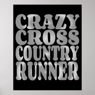 Crazy Cross country Springer i Silver Poster