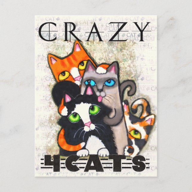 Crazy for Cats Postcard Vykort (Framsida)