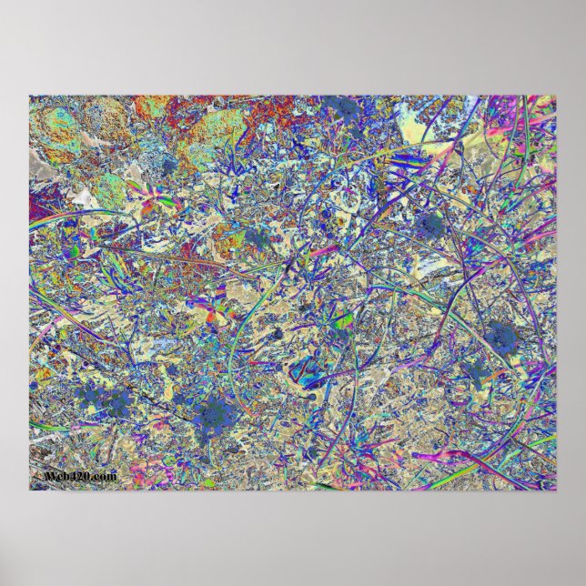 Crazy-gräs Poster (Framsidan)