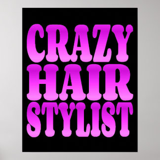 Crazy Hair Stylist Poster