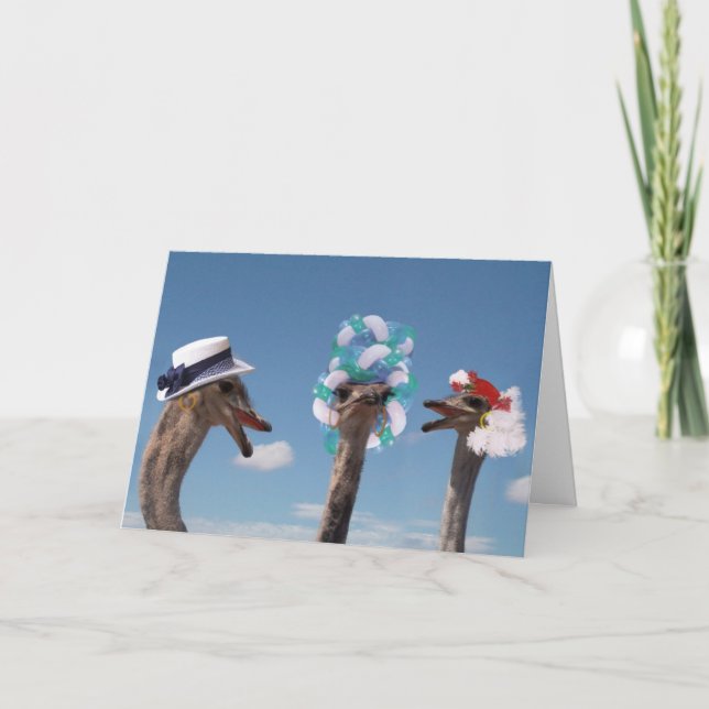 Crazy Hat Day i Tävling Kort (Framsida)