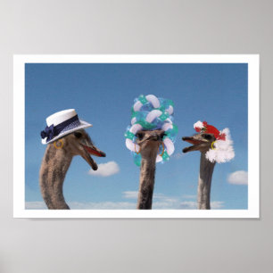 Crazy Hat Day i Tävling Poster