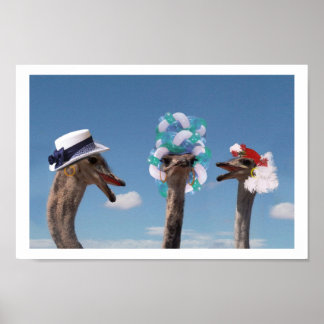 Crazy Hat Day i Tävling Poster