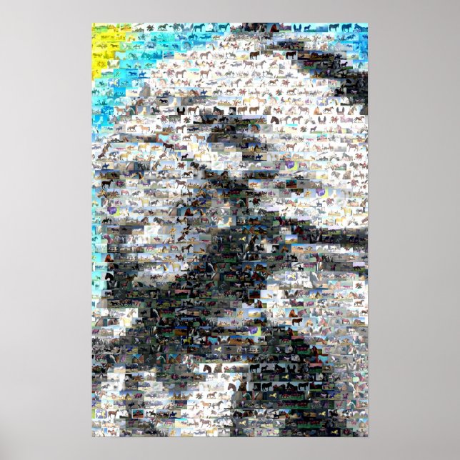 Crazy Horse Indian Poster (Framsidan)