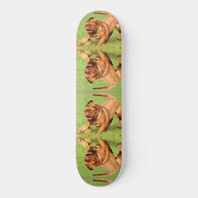 Crazy Hund Mini Skateboard Bräda 18,5 Cm (Framsida)