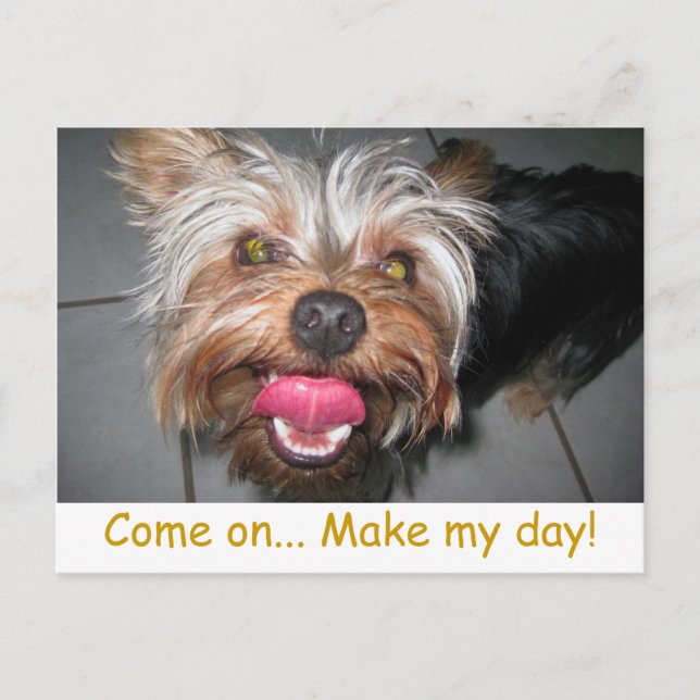 Crazy Jasper ~ vykort (Framsida)