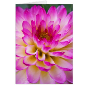 Crazy Kärlek Dahlia Hälsningskort