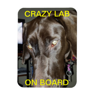 Crazy Lab On Board Magnet
