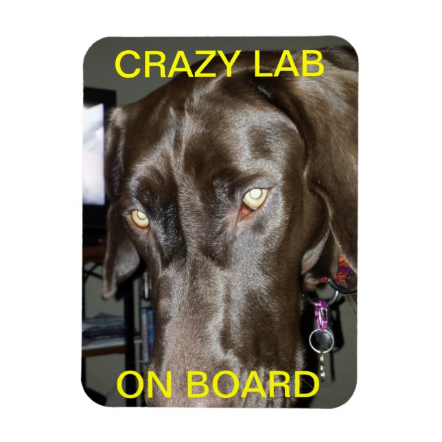 Crazy Lab On Board Magnet (Vertikal)