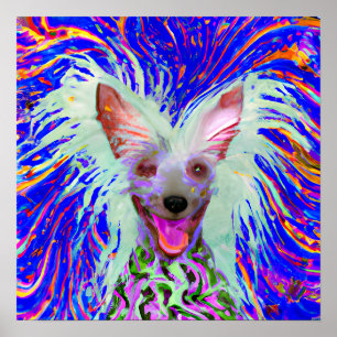 Crazy Lycklig Chinese Crested Art Porträtt Poster