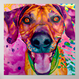 Crazy Lycklig Rhodesian Ridgeback Hund Art Poster