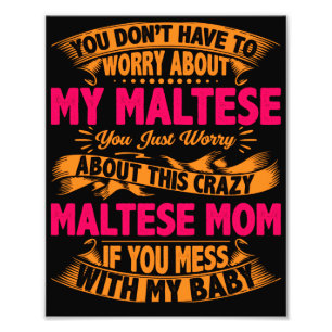 Crazy Maltese Mamma Fototryck
