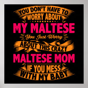 Crazy Maltese Mamma Poster