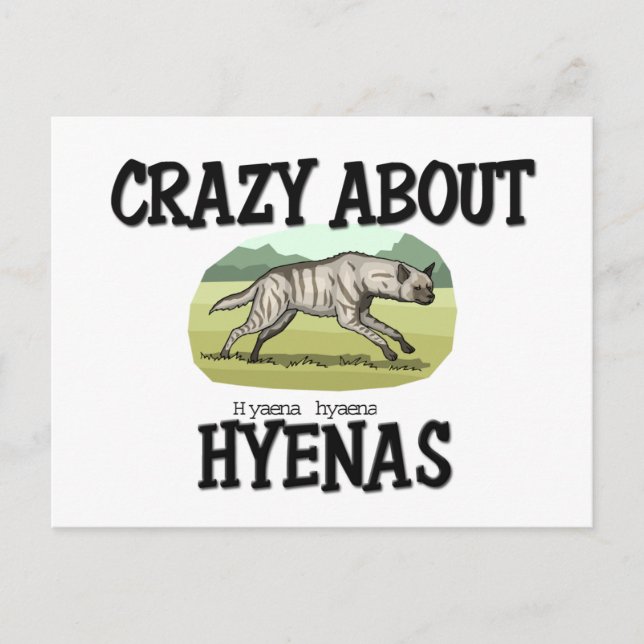 Crazy Om Hyenas Vykort (Framsida)