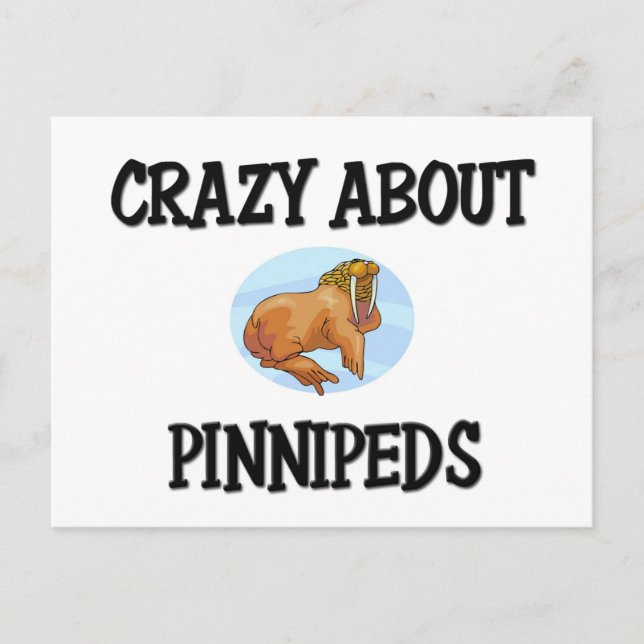 Crazy Om Pinnipeds Vykort (Framsida)