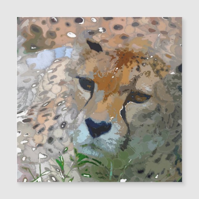 Crazy Paint - Cheetah (Framsida)
