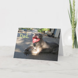 Crazy Pappa Pitbull Fars dag-kort Kort