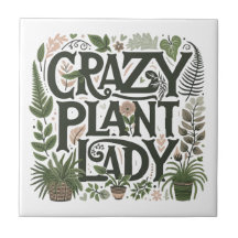 Crazy Plant Dam