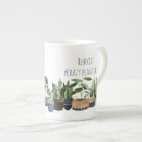 Crazy Plant Dam Pot Plant & Cactus