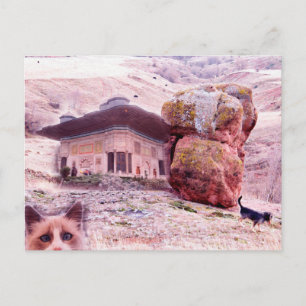 Crazy Postcard Hund Cat Funny Collage Vykort