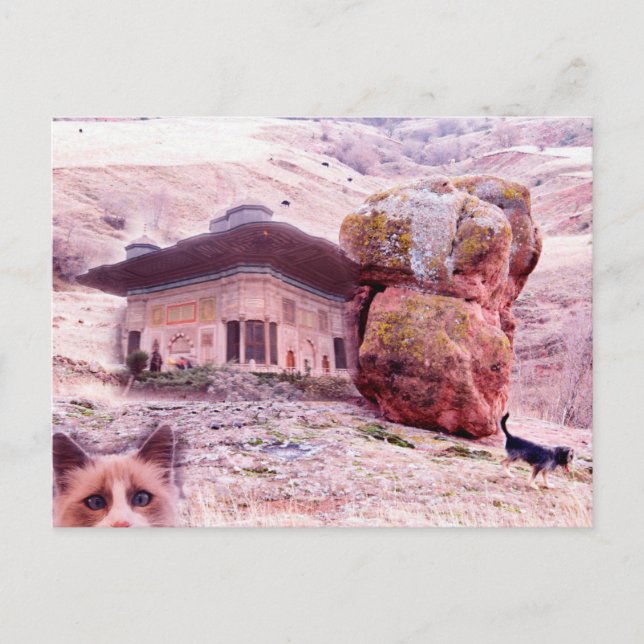 Crazy Postcard Hund Cat Funny Collage Vykort (Framsida)