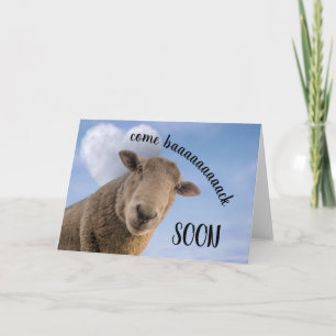 Crazy Sheep Kom Back Soon Kort