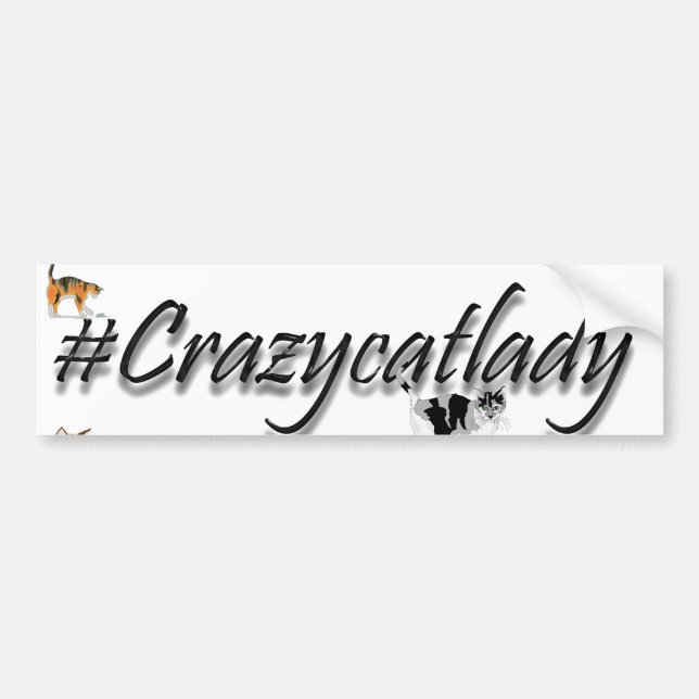 #crazycatlady bildekal (Framsidan)