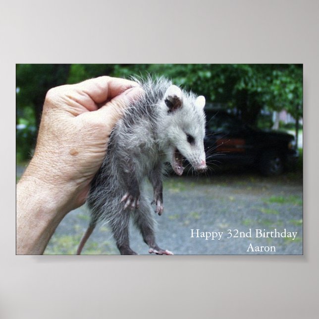 Crazzzy Opossum Poster (Framsidan)