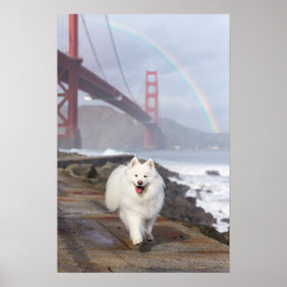 CRB Rainbow Bridge Affisch