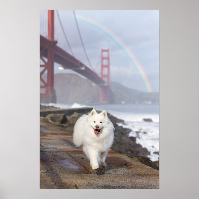 CRB Rainbow Bridge Affisch (Framsidan)